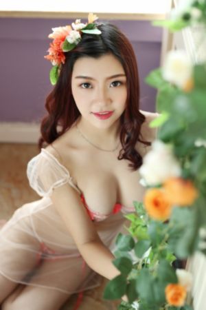 借种子灭门2完整版在线观看超清_1080P免费播放